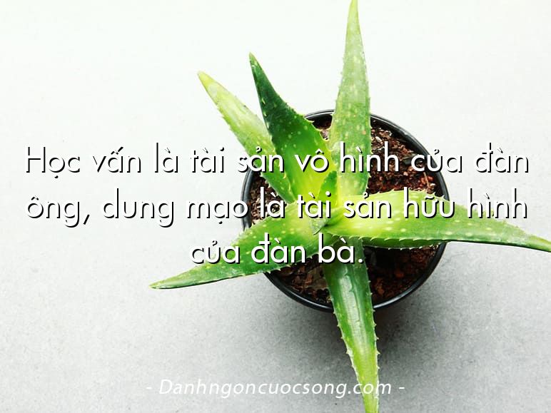 Học vấn là tài sản vô hình của đàn ông, dung mạo là tài sản hữu hình của đàn bà.