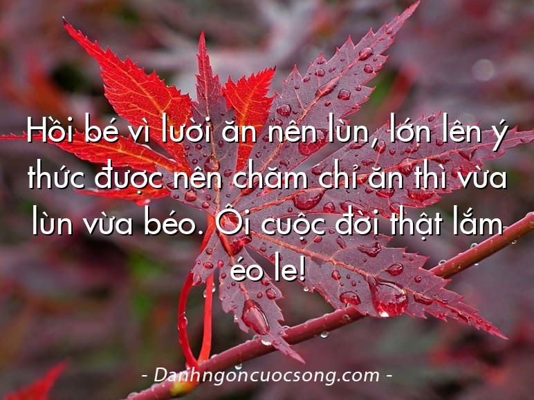 Hồi bé vì lười ăn nên lùn, lớn lên ý thức được nên chăm chỉ ăn thì vừa lùn vừa béo. Ôi cuộc đời thật lắm éo le!