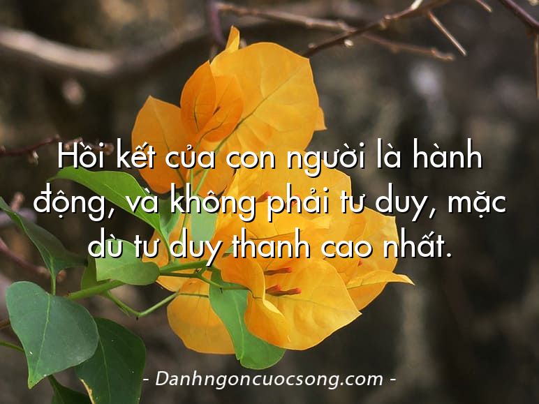 Hồi kết của con người là hành động, và không phải tư duy, mặc dù tư duy thanh cao nhất.