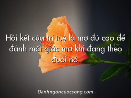 Hồi kết của trí tuệ là mơ đủ cao để đánh mất giấc mơ khi đang theo đuổi nó.