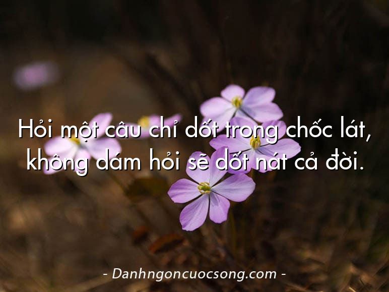Hỏi một câu chỉ dốt trong chốc lát, không dám hỏi sẽ dốt nát cả đời.