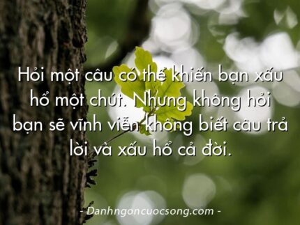 Hỏi một câu có thể khiến bạn xấu hổ một chút. Nhưng không hỏi bạn sẽ vĩnh viễn không biết câu trả lời và xấu hổ cả đời.