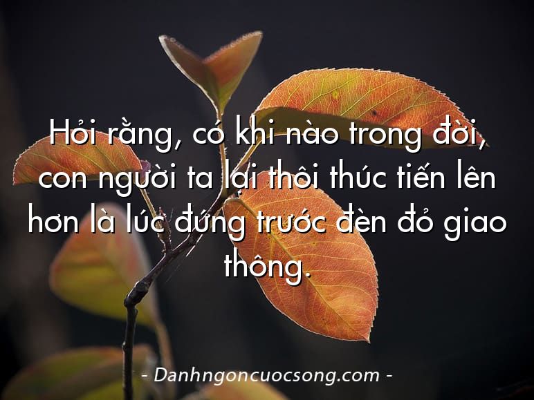 Hỏi rằng, có khi nào trong đời, con người ta lại thôi thúc tiến lên hơn là lúc đứng trước đèn đỏ giao thông.