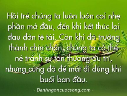 Hồi trẻ chúng ta luôn luôn coi nhẹ phần mở đầu, đến khi kết thúc lại đau đớn tê tái. Còn khi đã trưởng thành chín chắn, chúng ta có thể né tránh sự tổn thương ấu trĩ, nhưng cũng đã để mất đi dũng khí buổi ban đầu.