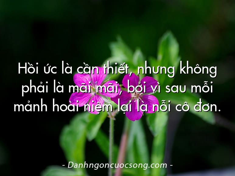 Hồi ức là cần thiết, nhưng không phải là mãi mãi, bởi vì sau mỗi mảnh hoài niệm lại là nỗi cô đơn.