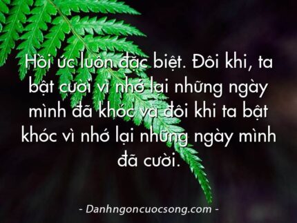 Hồi ức luôn đặc biệt. Đôi khi, ta bật cười vì nhớ lại những ngày mình đã khóc và đôi khi ta bật khóc vì nhớ lại những ngày mình đã cười.