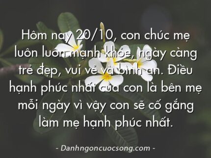 Hôm nay 20/10, con chúc mẹ luôn luôn mạnh khỏe, ngày càng trẻ đẹp, vui vẻ và bình an. Điều hạnh phúc nhất của con là bên mẹ mỗi ngày vì vậy con sẽ cố gắng làm mẹ hạnh phúc nhất.
