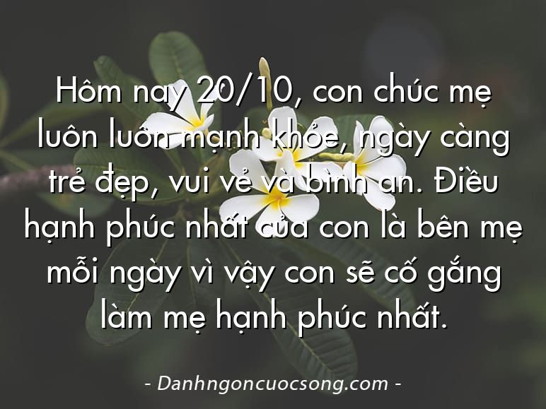 Hôm nay 20/10, con chúc mẹ luôn luôn mạnh khỏe, ngày càng trẻ đẹp, vui vẻ và bình an. Điều hạnh phúc nhất của con là bên mẹ mỗi ngày vì vậy con sẽ cố gắng làm mẹ hạnh phúc nhất.
