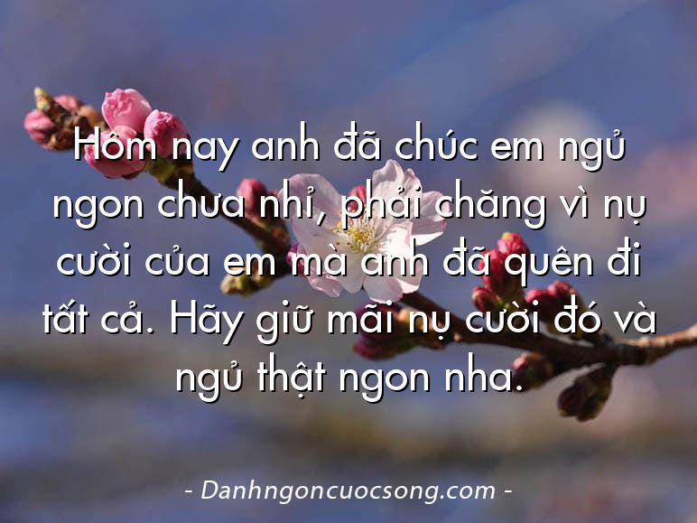 Hôm nay anh đã chúc em ngủ ngon chưa nhỉ, phải chăng vì nụ cười của em mà anh đã quên đi tất cả. Hãy giữ mãi nụ cười đó và ngủ thật ngon nha.
