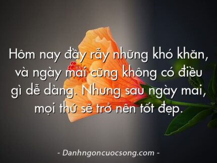 Hôm nay đầy rẫy những khó khăn, và ngày mai cũng không có điều gì dễ dàng. Nhưng sau ngày mai, mọi thứ sẽ trở nên tốt đẹp.