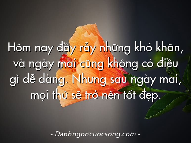 Hôm nay đầy rẫy những khó khăn, và ngày mai cũng không có điều gì dễ dàng. Nhưng sau ngày mai, mọi thứ sẽ trở nên tốt đẹp.