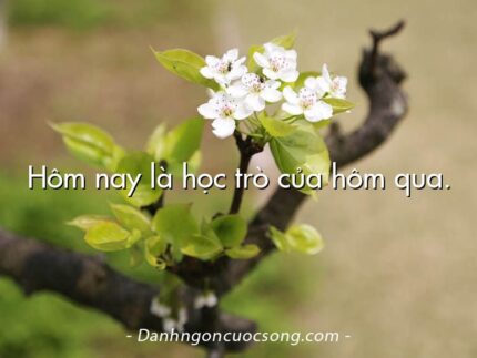 Hôm nay là học trò của hôm qua.