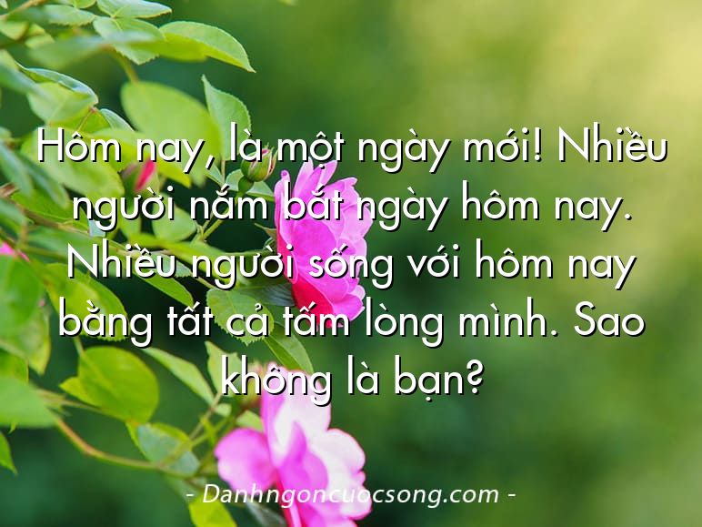 Hôm nay, là một ngày mới! Nhiều người nắm bắt ngày hôm nay. Nhiều người sống với hôm nay bằng tất cả tấm lòng mình. Sao không là bạn?