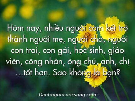 Hôm nay, nhiều người cam kết trở thành người mẹ, người cha, người con trai, con gái, học sinh, giáo viên, công nhân, ông chủ, anh, chị …tốt hơn. Sao không là bạn?