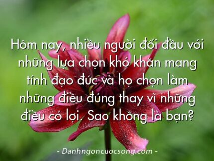 Hôm nay, nhiều người đối đầu với những lựa chọn khó khăn mang tính đạo đức và họ chọn làm những điều đúng thay vì những điều có lợi. Sao không là bạn?