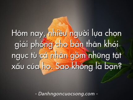 Hôm nay, nhiều người lựa chọn giải phóng cho bản thân khỏi ngục tù cá nhân gồm những tật xấu của họ. Sao không là bạn?