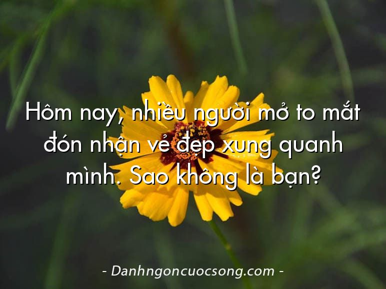 Hôm nay, nhiều người mở to mắt đón nhận vẻ đẹp xung quanh mình. Sao không là bạn?