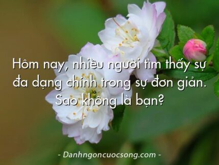 Hôm nay, nhiều người tìm thấy sự đa dạng chính trong sự đơn giản. Sao không là bạn?