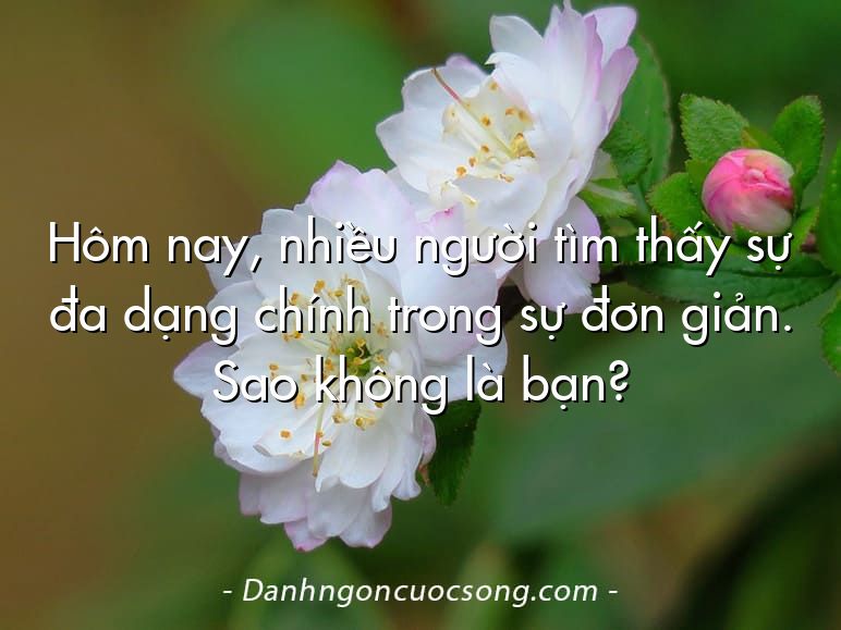 Hôm nay, nhiều người tìm thấy sự đa dạng chính trong sự đơn giản. Sao không là bạn?