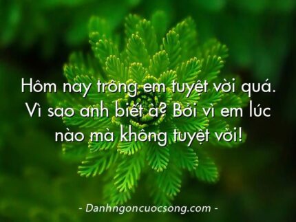 Hôm nay trông em tuyệt vời quá. Vì sao anh biết à? Bởi vì em lúc nào mà không tuyệt vời!
