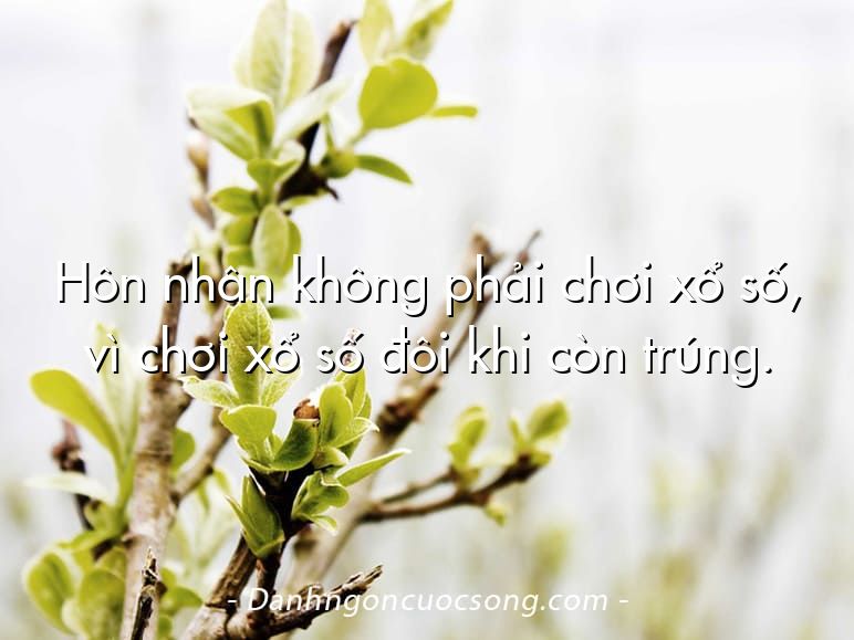 Hôn nhân không phải chơi xổ số, vì chơi xổ số đôi khi còn trúng.