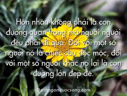 Hôn nhân không phải là con đường quan trọng mà người người đều phải đi qua. Đối với một số người nó là chiếc cầu độc mộc, đối với một số người khác nó lại là con đường lớn đẹp đẽ.
