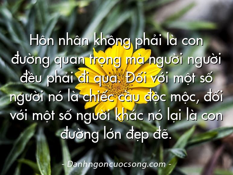 Hôn nhân không phải là con đường quan trọng mà người người đều phải đi qua. Đối với một số người nó là chiếc cầu độc mộc, đối với một số người khác nó lại là con đường lớn đẹp đẽ.
