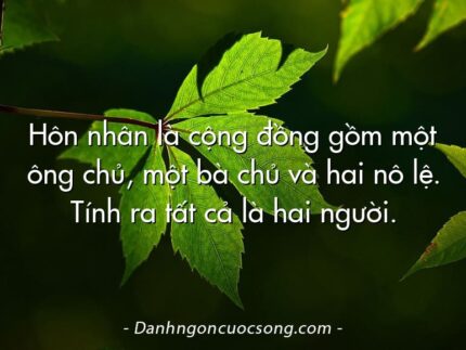 Hôn nhân là cộng đồng gồm một ông chủ, một bà chủ và hai nô lệ. Tính ra tất cả là hai người.