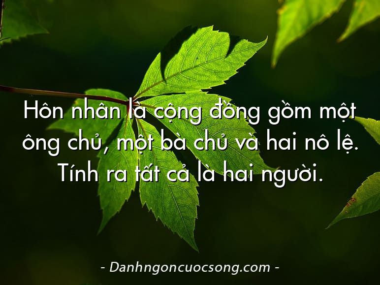Hôn nhân là cộng đồng gồm một ông chủ, một bà chủ và hai nô lệ. Tính ra tất cả là hai người.