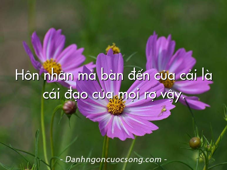Hôn nhân mà bàn đến của cải là cái đạo của mọi rợ vậy.