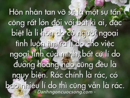 Hôn nhân tan vỡ sẽ là một sự tấn công rất lớn đối với bất kì ai, đặc biệt là li hôn do có người ngoại tình luôn tìm ra lí do cho việc ngoại tình của mình, bất cứ lí do đường hoàng nào cũng đều là ngụy biện. Rác chính là rác, có bao nhiêu lí do thì cũng vẫn là rác.