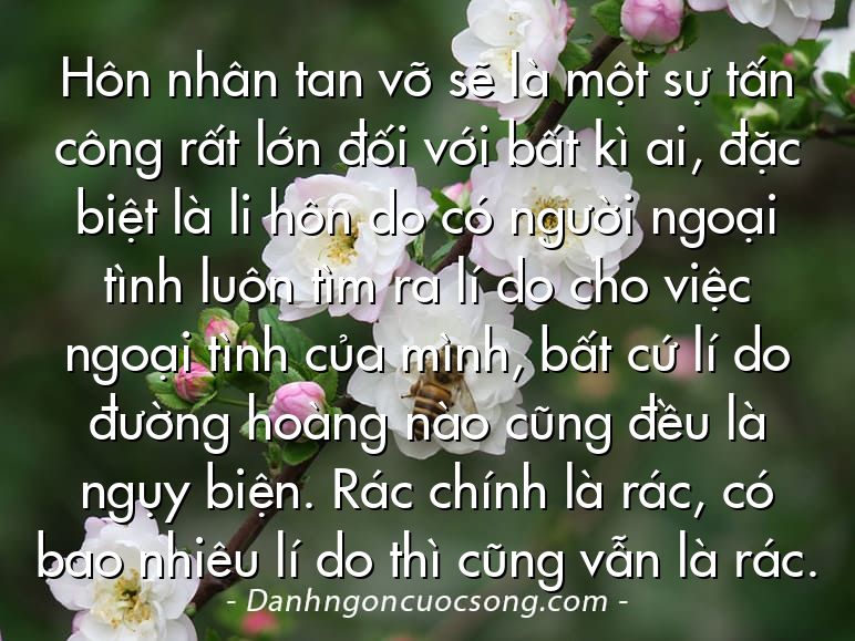 Hôn nhân tan vỡ sẽ là một sự tấn công rất lớn đối với bất kì ai, đặc biệt là li hôn do có người ngoại tình luôn tìm ra lí do cho việc ngoại tình của mình, bất cứ lí do đường hoàng nào cũng đều là ngụy biện. Rác chính là rác, có bao nhiêu lí do thì cũng vẫn là rác.
