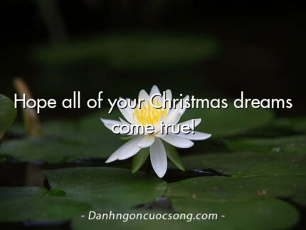 Hope all of your Christmas dreams come true!