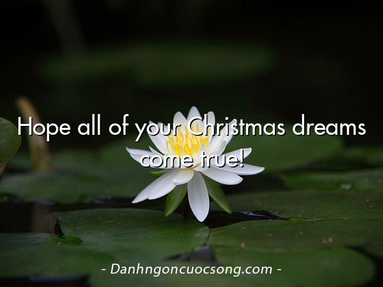 Hope all of your Christmas dreams come true!