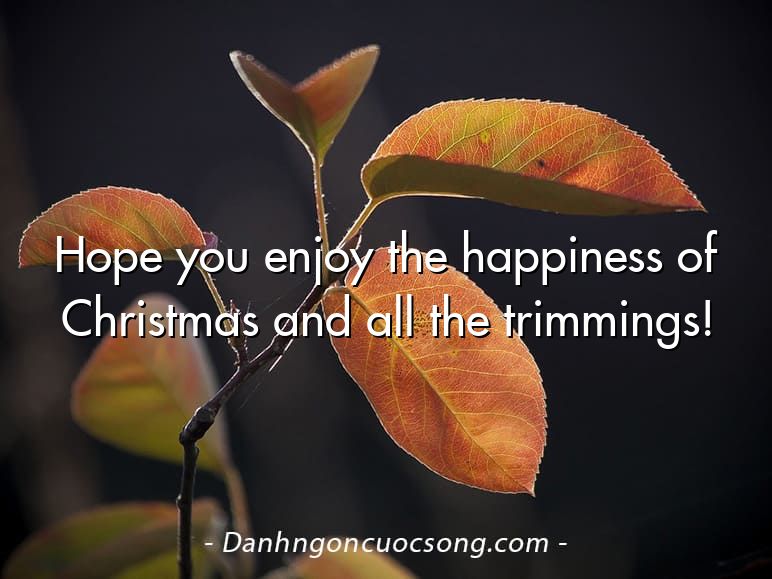 Hope you enjoy the happiness of Christmas and all the trimmings!