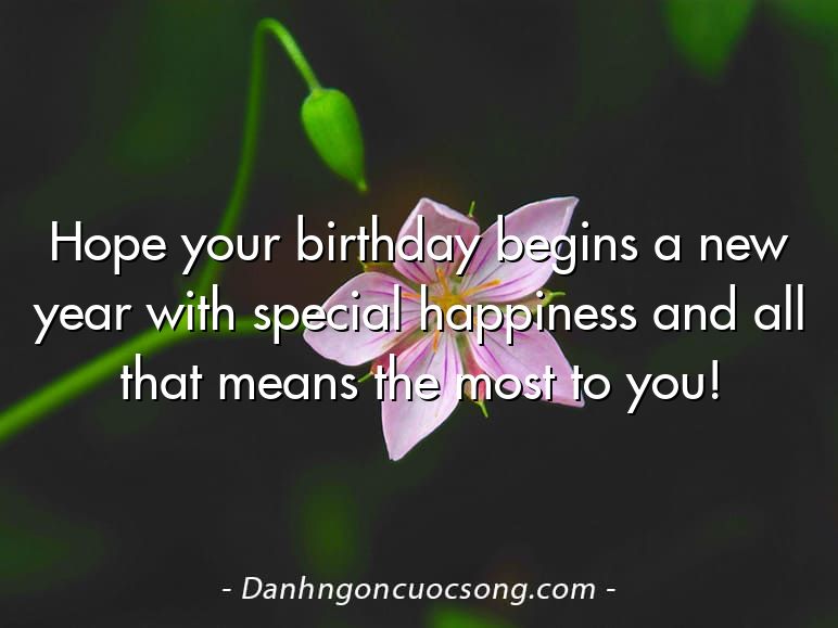 Hope your birthday begins a new year with special happiness and all that means the most to you!