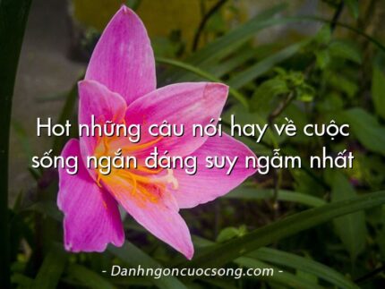 Hot những câu nói hay về cuộc sống ngắn đáng suy ngẫm nhất