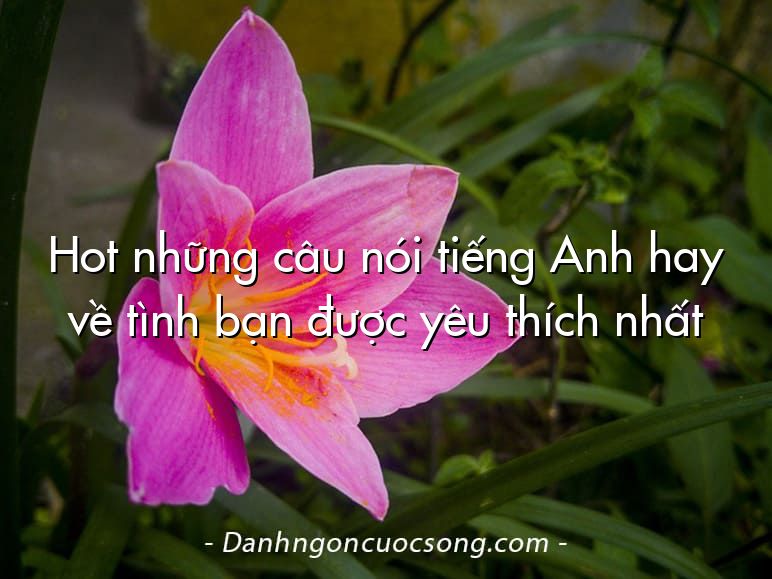 Hot những câu nói tiếng Anh hay về tình bạn được yêu thích nhất