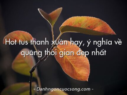 Hot tus thanh xuân hay, ý nghĩa về quãng thời gian đẹp nhất