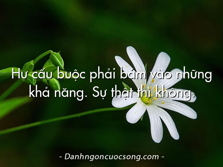 Hư cấu buộc phải bám vào những khả năng. Sự thật thì không.