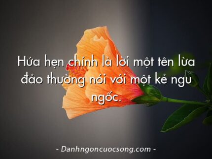 Hứa hẹn chính là lời một tên lừa đảo thường nói với một kẻ ngu ngốc.
