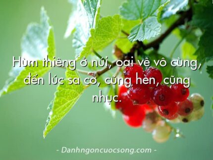 Hùm thiêng ở núi, oai vệ vô cùng, đến lúc sa cơ, cũng hèn, cũng nhục.