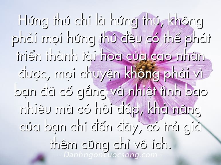 Hứng thú chỉ là hứng thú, không phải mọi hứng thú đều có thể phát triển thành tài hoa của cao nhân được, mọi chuyện không phải vì bạn đã cố gắng và nhiệt tình bao nhiêu mà có hồi đáp, khả năng của bạn chỉ đến đây, có trả giá thêm cũng chỉ vô ích.