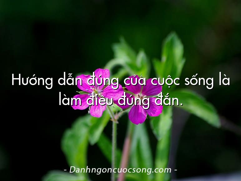 Hướng dẫn đúng của cuộc sống là làm điều đúng đắn.