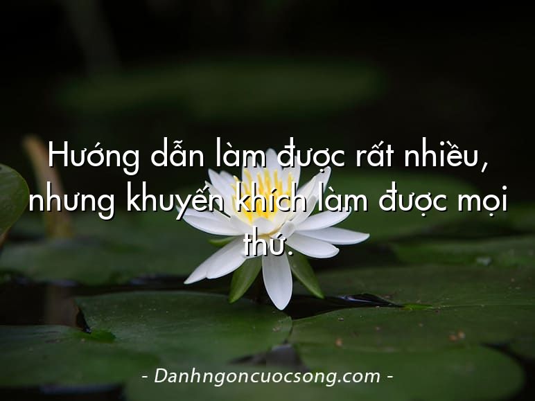 Hướng dẫn làm được rất nhiều, nhưng khuyến khích làm được mọi thứ.
