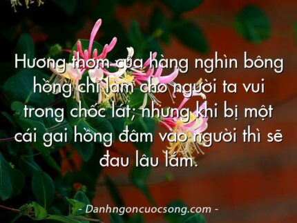 Hương thơm của hàng nghìn bông hồng chỉ làm cho người ta vui trong chốc lát; nhưng khi bị một cái gai hồng đâm vào người thì sẽ đau lâu lắm.