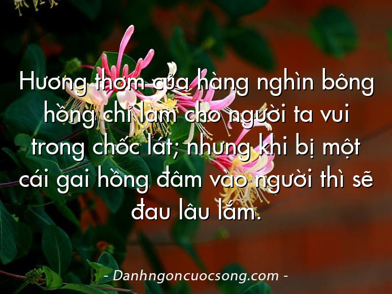 Hương thơm của hàng nghìn bông hồng chỉ làm cho người ta vui trong chốc lát; nhưng khi bị một cái gai hồng đâm vào người thì sẽ đau lâu lắm.