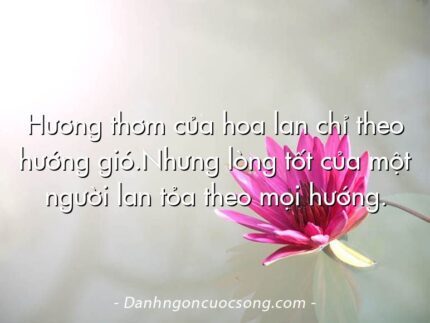 Hương thơm của hoa lan chỉ theo hướng gió.Nhưng lòng tốt của một người lan tỏa theo mọi hướng.