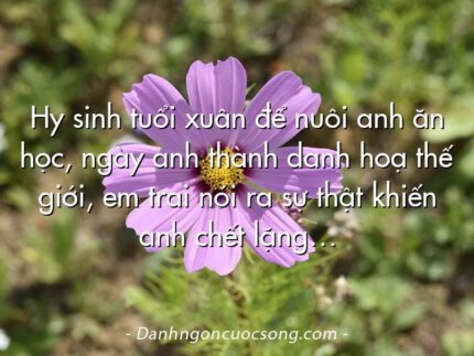 Hy sinh tuổi xuân để nuôi anh ăn học, ngày anh thành danh hoạ thế giới, em trai nói ra sự thật khiến anh chết lặng…