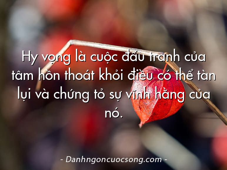 Hy vọng là cuộc đấu tranh của tâm hồn thoát khỏi điều có thể tàn lụi và chứng tỏ sự vĩnh hằng của nó.